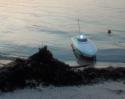 Florida_Blast1984