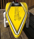 DJGS1